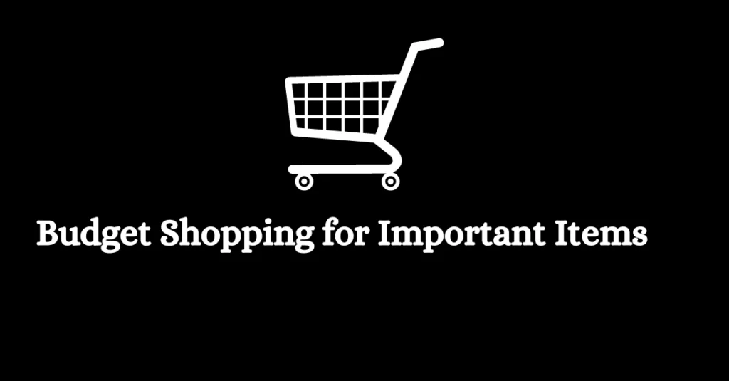 What Can Help You Meet Your Budget While Shopping for Important Items?