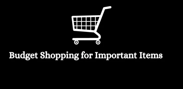 Budget Shopping for Important Items